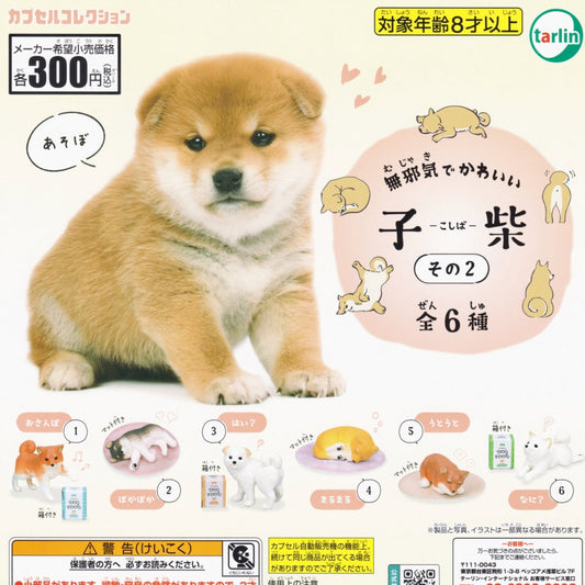 A gachapon placard in Japanese showing the 6 versions of tiny Shiba Inu toy dog figurines and paper accessories available in this theme.