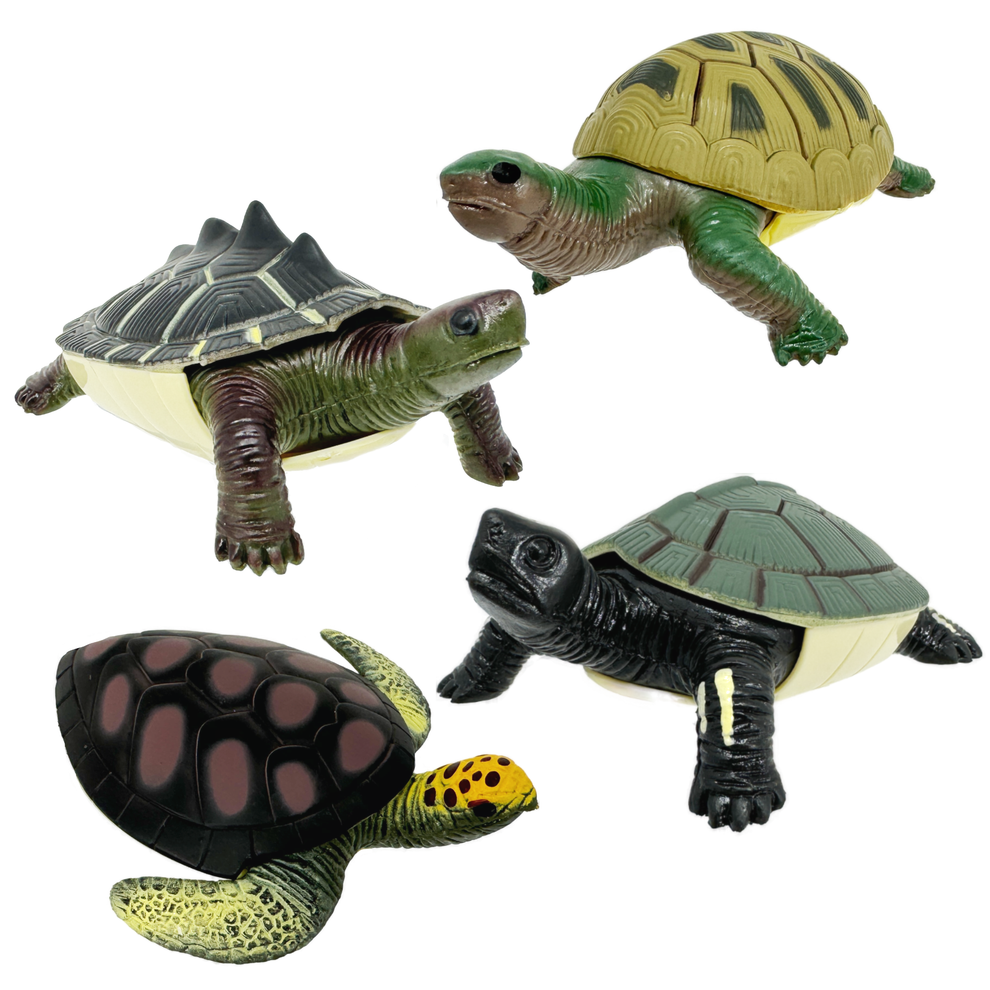 Turtle Squishimals by Toysmith – Tinywich