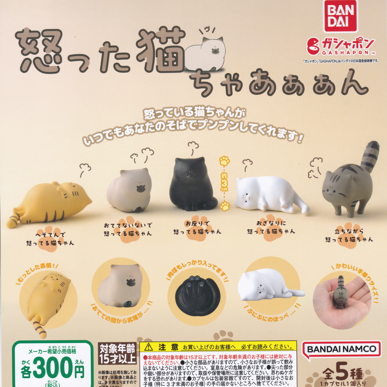 A flyer showing the five versions of angry cat figurines in this collection in Japanese.