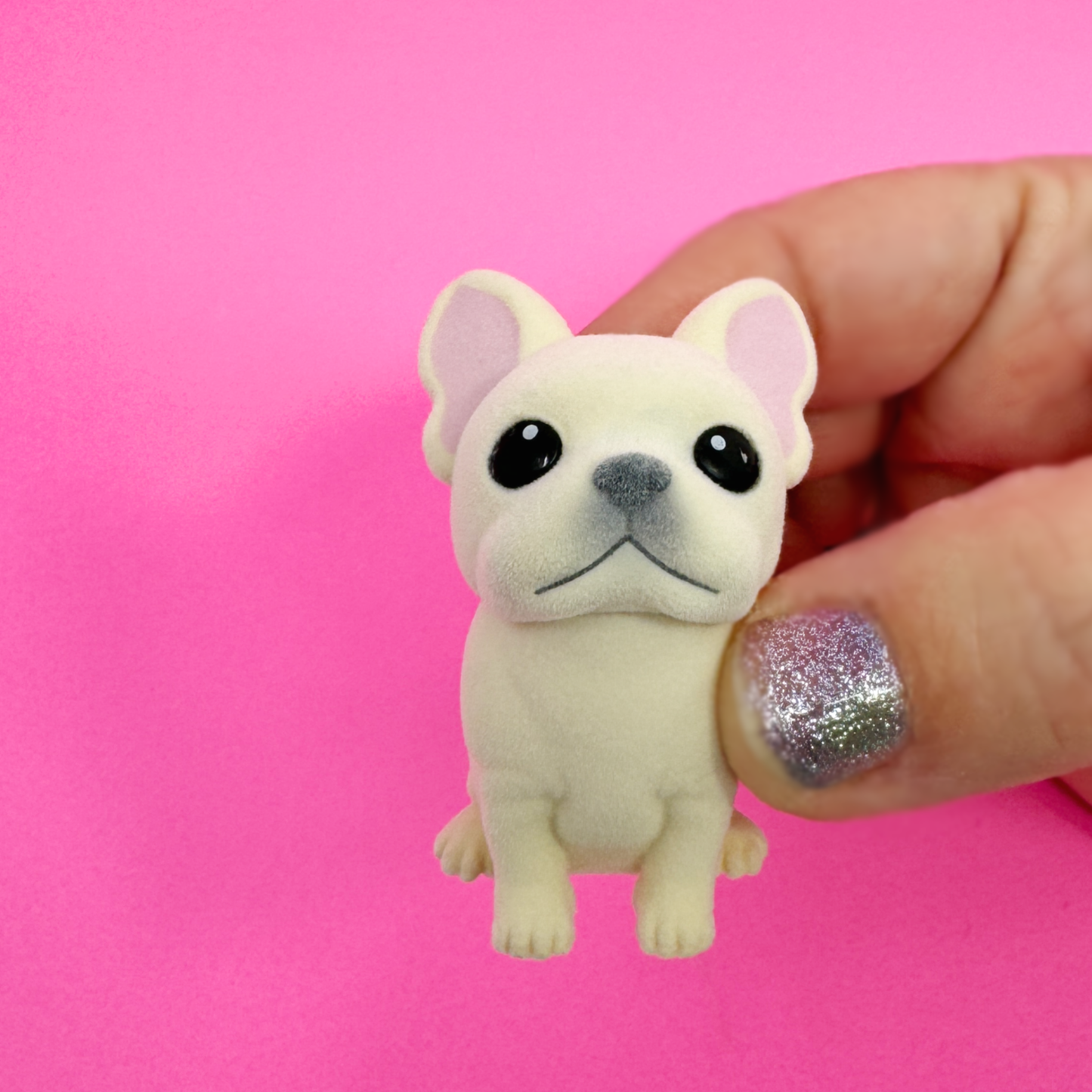 A mini toy French Bulldog with soft flocking and big cute eyes