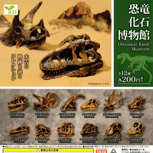 There are twelve mini dino fossils to collect: Tyrannosaurus, Triceratops, Parasaurolophus, Diplodocus, Styracosaurus, Dracorex, Velociraptor, Oviraptor, Carnotaurus, Dilophosaurus, Nigersaurus, and Brachiosaurus.