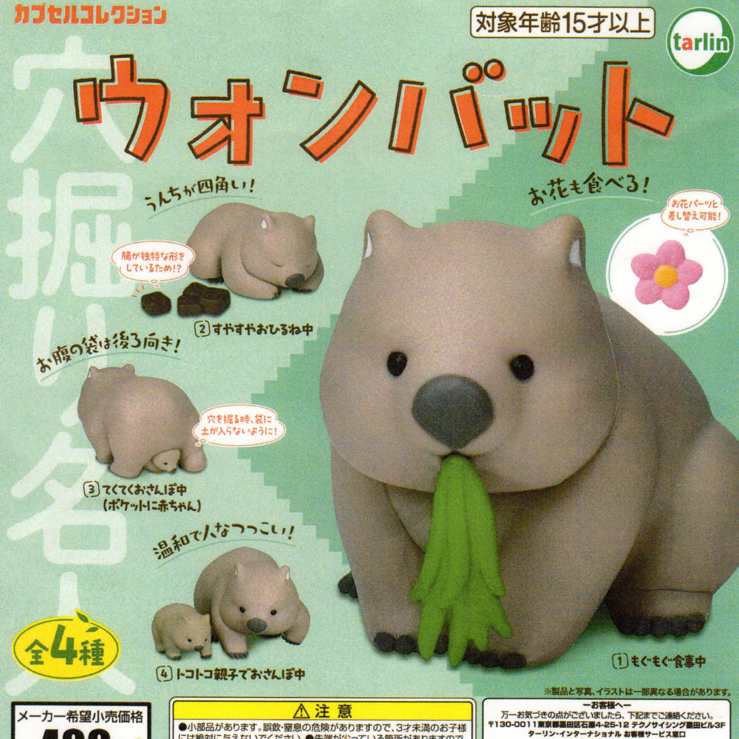 There are four designs to collect of toy wombat figurines. Two feature a wombat mom and her joey.