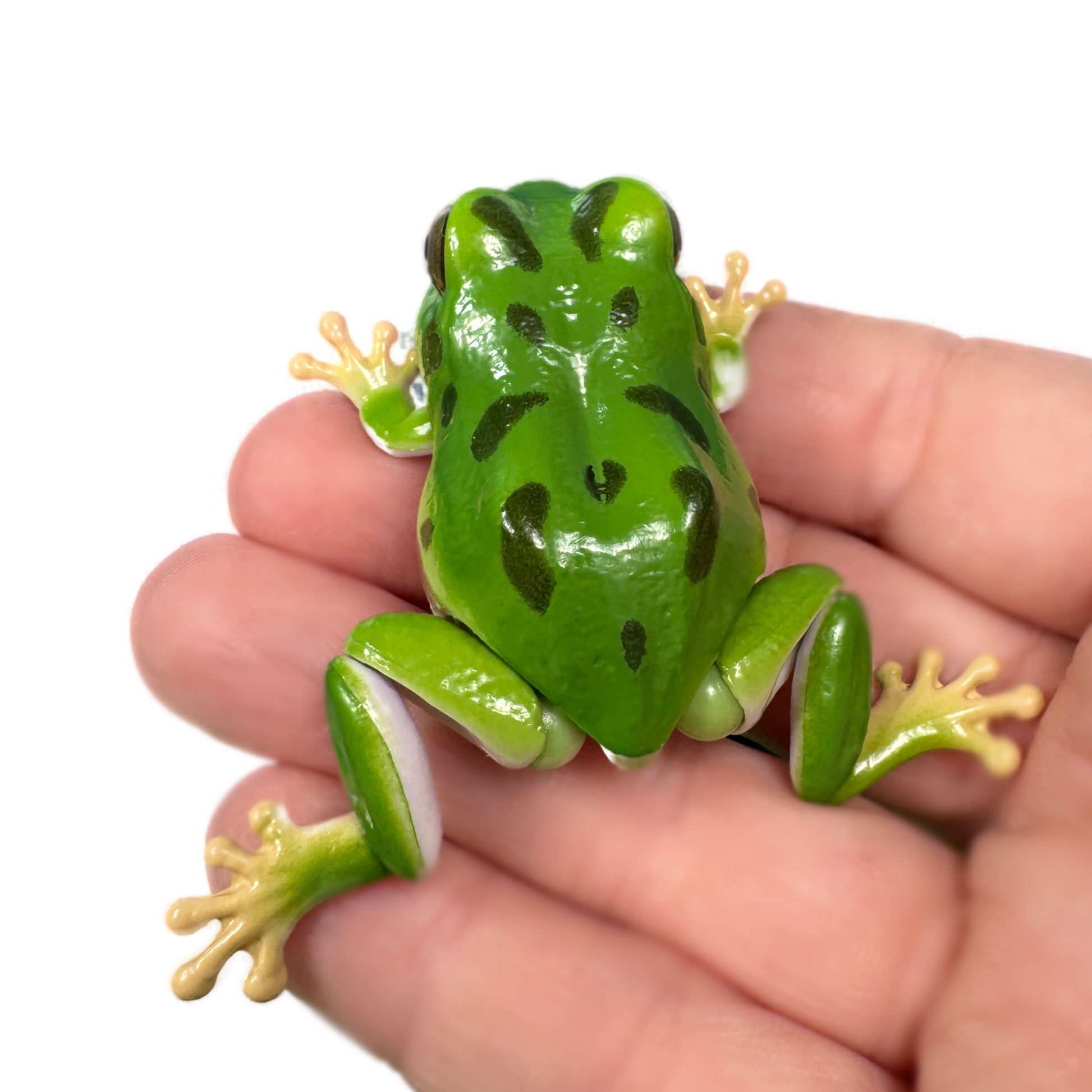 A hand holds a green toy tree frog with spots and movable legs.