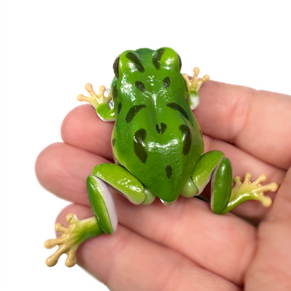 A hand holds a green toy tree frog with spots and movable legs.