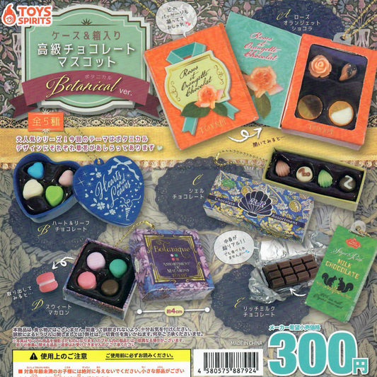 Five highly detailed mini toy boxes of chocolates and treats in this capsule toy series.