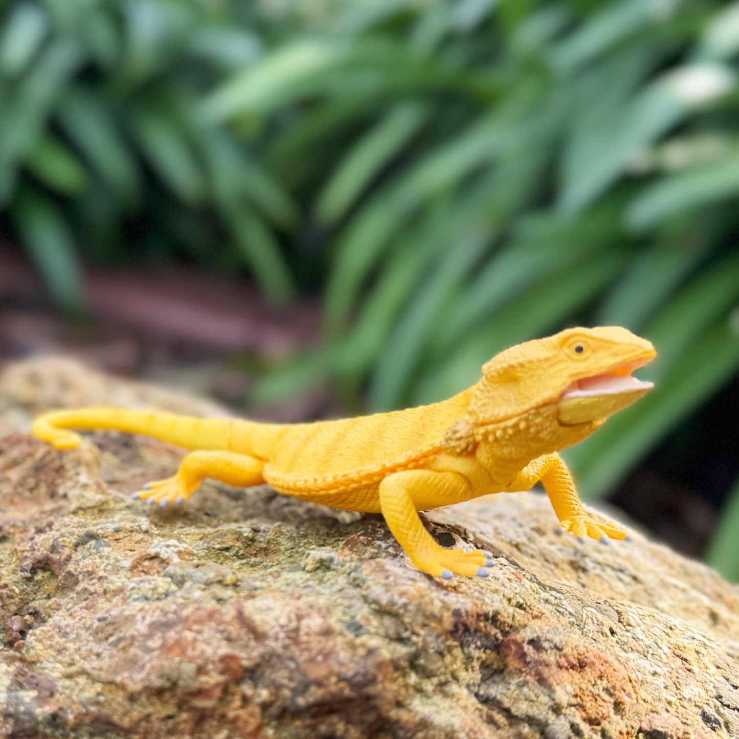 A bearded dragon toy playable lizard sitting on a rock in nature