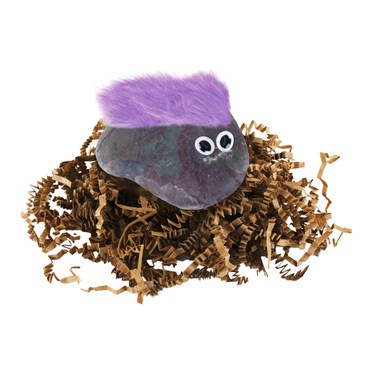 An Original Classic Pet Rock with goggly eyes and purple hair sits on a nets of shredded paper.