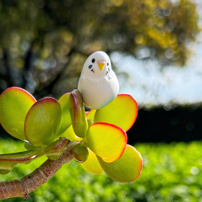 Tiny parakeet bird figure sits in nature