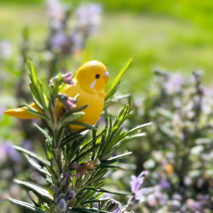 Tiny yellow bird figure sits in rosemary